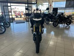 2022 Triumph Tiger 1200 Rally Pro Tiger Green