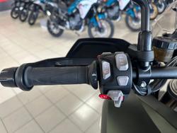 2022 Triumph Tiger 1200 Rally Pro Tiger Green