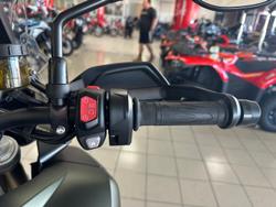 2022 Triumph Tiger 1200 Rally Pro Tiger Green