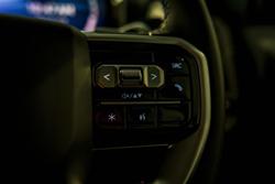 2025 LDV Terron 9 Origin