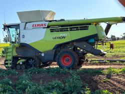 2017 CLAAS Lexion 770 Combine Lexion 770 Tt