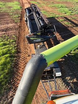 2017 CLAAS Lexion 770 Combine Lexion 770 Tt