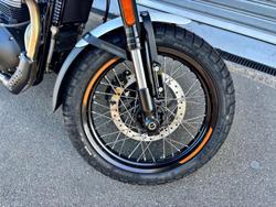 2025 Royal Enfield Bear 650