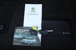 2019 SKODA Octavia 110TSI NE MY19 Moon White