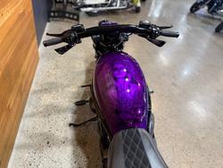 2016 Harley-davidson VRSCDX NIGHT ROD SPECIAL Purple