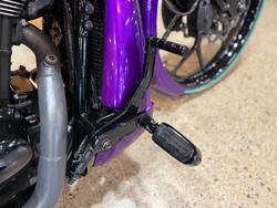2016 Harley-davidson VRSCDX NIGHT ROD SPECIAL Purple