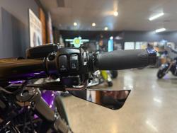 2016 Harley-davidson VRSCDX NIGHT ROD SPECIAL Purple
