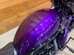 2016 Harley-davidson VRSCDX NIGHT ROD SPECIAL Purple