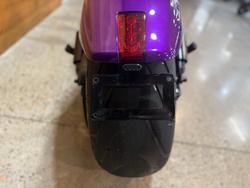 2016 Harley-davidson VRSCDX NIGHT ROD SPECIAL Purple