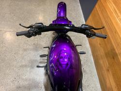 2016 Harley-davidson VRSCDX NIGHT ROD SPECIAL Purple