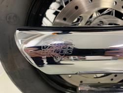2014 Harley-davidson FLS SOFTAIL SLIM Black