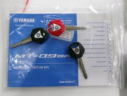 2022 YAMAHA MT-09A (MT-09) SILVER