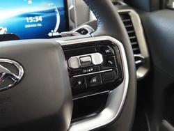 2025 LDV Terron 9 Origin