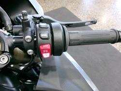 2025 BMW Motorrad S 1000 RR BLUESTONE METALLIC