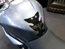 2025 BMW Motorrad S 1000 RR BLUESTONE METALLIC