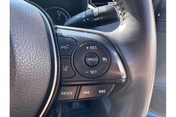 2020 Toyota
                RAV4 Cruiser