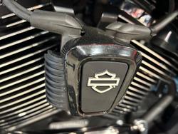 2024 Harley-Davidson Street Glide 117 (FLHX) Touring Blue