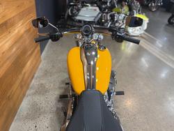 2025 Harley-davidson FXBR BREAKOUT (117) CENTERLINE