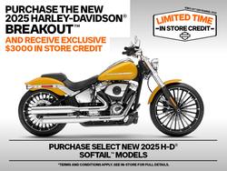 2025 Harley-davidson FXBR BREAKOUT (117) CENTERLINE