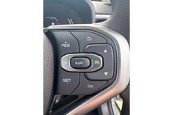 2025 GWM
                Haval Jolion Premium Hybrid