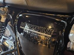 2019 Triumph Bonneville T120 Diamond Bonneville White