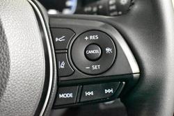 2024 Toyota RAV4 Cruiser