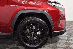 2024 Toyota RAV4 Cruiser