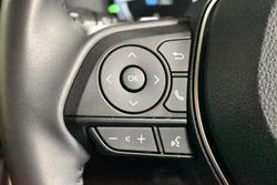 2024 Toyota RAV4 Cruiser