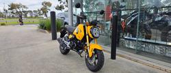 2021 Honda GROM YELLOW