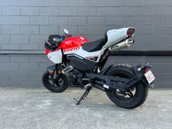 2024 CFMOTO 2024 CFMOTO PAPIO RACER FORCE RED