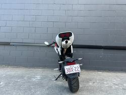2024 CFMOTO 2024 CFMOTO PAPIO RACER FORCE RED