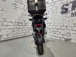 2023 Triumph Tiger 1200 Rally Explorer Tiger Black
