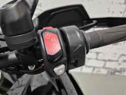 2023 Triumph Tiger 1200 Rally Explorer Tiger Black