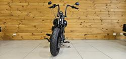 2009 Harley-davidson FLSTSB SOFTAIL CROSS BONES Black