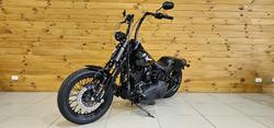 2009 Harley-davidson FLSTSB SOFTAIL CROSS BONES Black