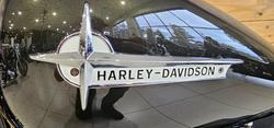 2009 Harley-davidson FLSTSB SOFTAIL CROSS BONES Black