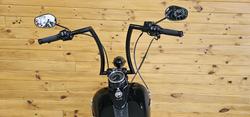 2009 Harley-davidson FLSTSB SOFTAIL CROSS BONES Black