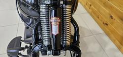 2009 Harley-davidson FLSTSB SOFTAIL CROSS BONES Black