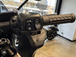 2025 Harley-Davidson Low Rider ST 117 (FXLRST) Softail