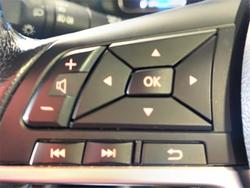 2019 Nissan
                LEAF 
