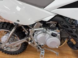 2025 Kawasaki KLX110RL WHITE
