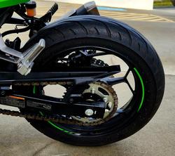 2016 Kawasaki Ninja 300 (EX300A) Ninja Green