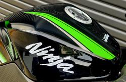 2016 Kawasaki Ninja 300 (EX300A) Ninja Green