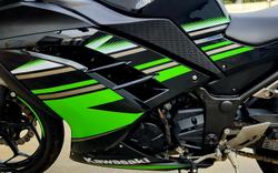 2016 Kawasaki Ninja 300 (EX300A) Ninja Green