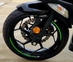 2016 Kawasaki Ninja 300 (EX300A) Ninja Green