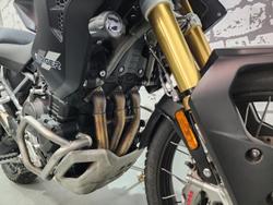 2023 Triumph Tiger 1200 Rally Pro Tiger White
