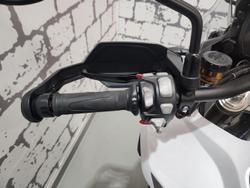 2023 Triumph Tiger 1200 Rally Pro Tiger White