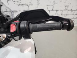 2023 Triumph Tiger 1200 Rally Pro Tiger White