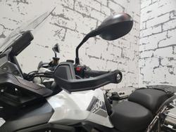 2023 Triumph Tiger 1200 Rally Pro Tiger White