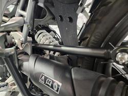 2023 Triumph Tiger 1200 Rally Pro Tiger White